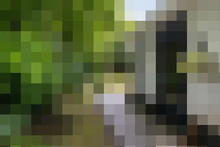 Houtvester Jansenweg 2 30 Gasselte thumbnail 26