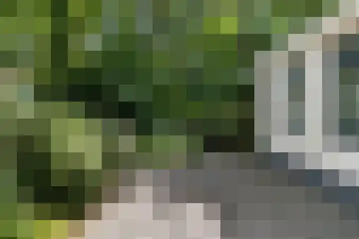 Houtvester Jansenweg 2 30 Gasselte thumbnail 27