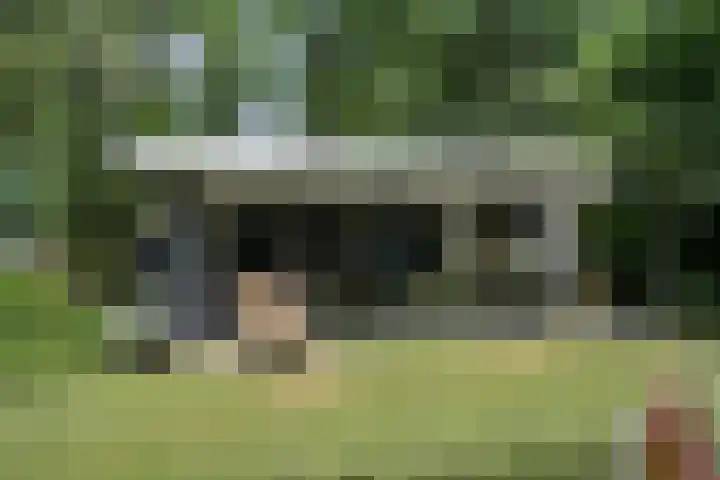 Houtvester Jansenweg 2 30 Gasselte thumbnail 29