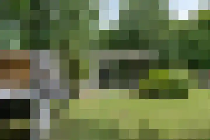 Houtvester Jansenweg 2 30 Gasselte thumbnail 30