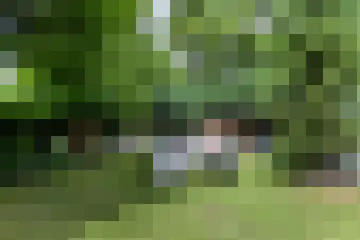 Houtvester Jansenweg 2 30 Gasselte thumbnail 31
