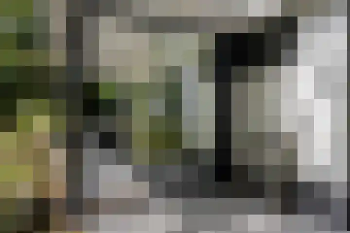 Houtvester Jansenweg 2 30 Gasselte thumbnail 32