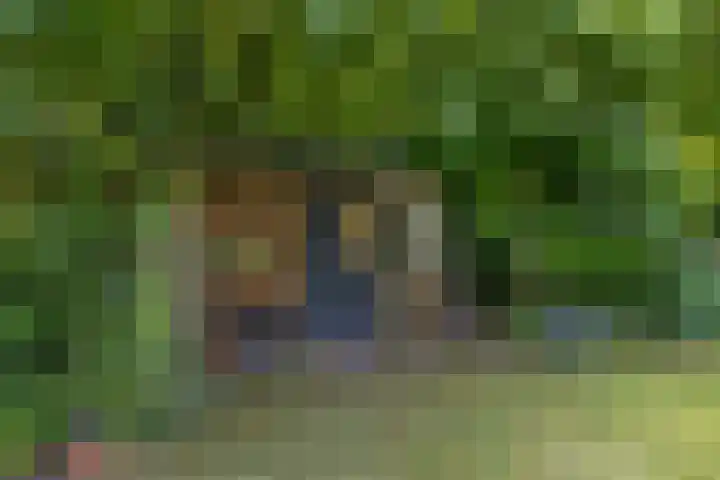 Houtvester Jansenweg 2 30 Gasselte thumbnail 33