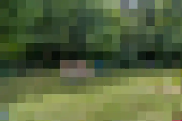 Houtvester Jansenweg 2 30 Gasselte thumbnail 34