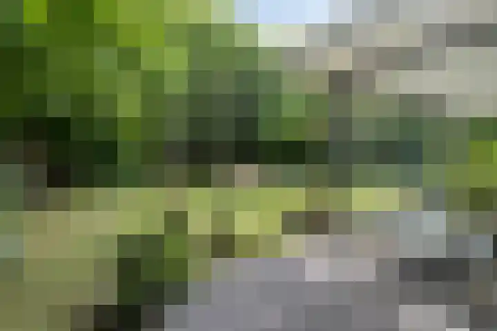 Houtvester Jansenweg 2 30 Gasselte thumbnail 35