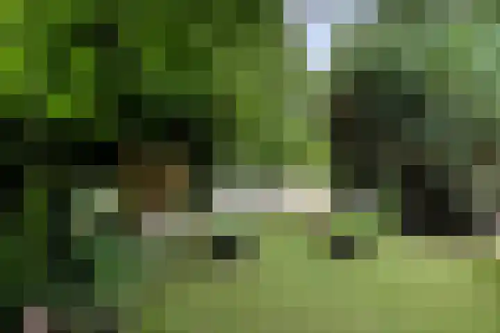 Houtvester Jansenweg 2 30 Gasselte thumbnail 36