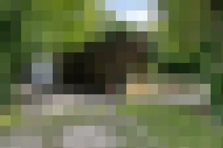 Houtvester Jansenweg 2 30 Gasselte thumbnail 37