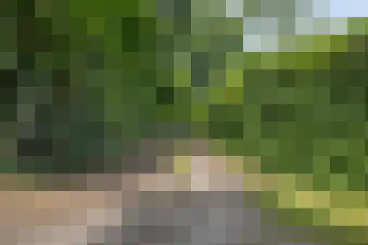 Houtvester Jansenweg 2 30 Gasselte thumbnail 38