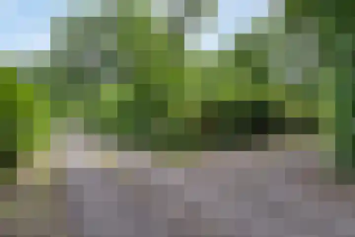 Houtvester Jansenweg 2 30 Gasselte thumbnail 39