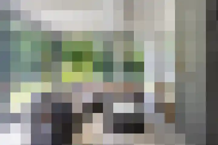 Houtvester Jansenweg 2 30 Gasselte thumbnail 4