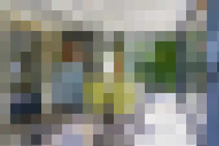 Houtvester Jansenweg 2 30 Gasselte thumbnail 5