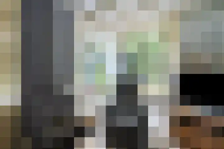 Houtvester Jansenweg 2 30 Gasselte thumbnail 8