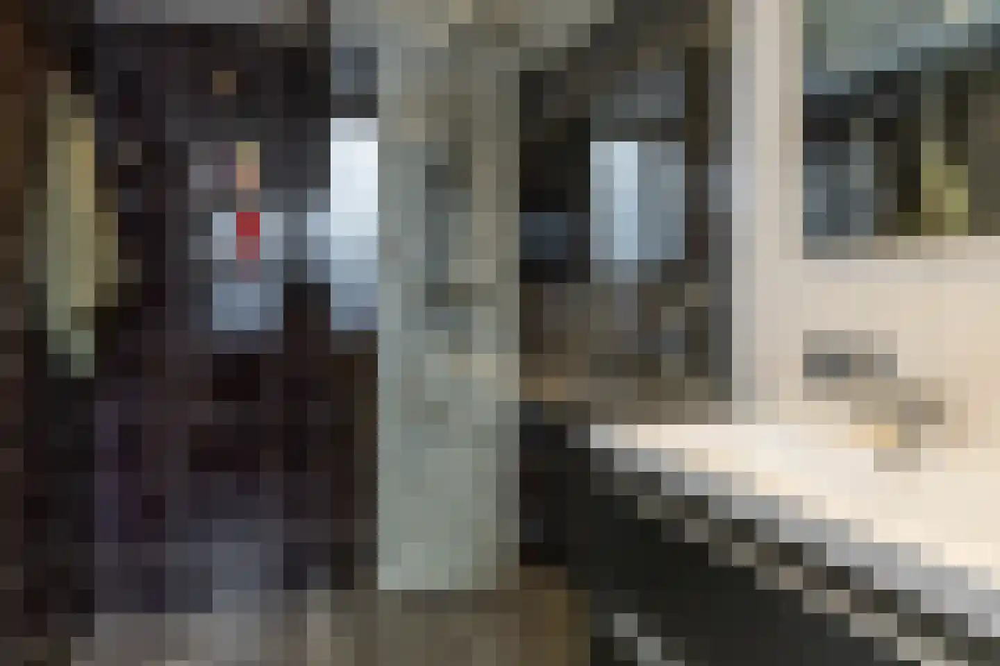 Houtvester Jansenweg 2 41 Gasselte thumbnail 13