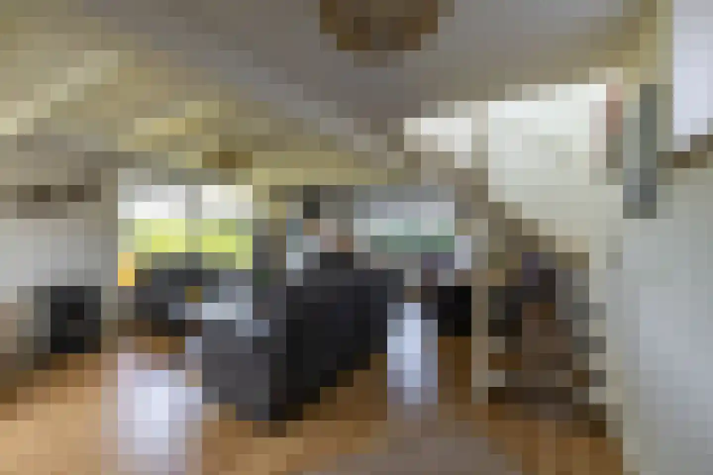 Houtvester Jansenweg 2 41 Gasselte thumbnail 15