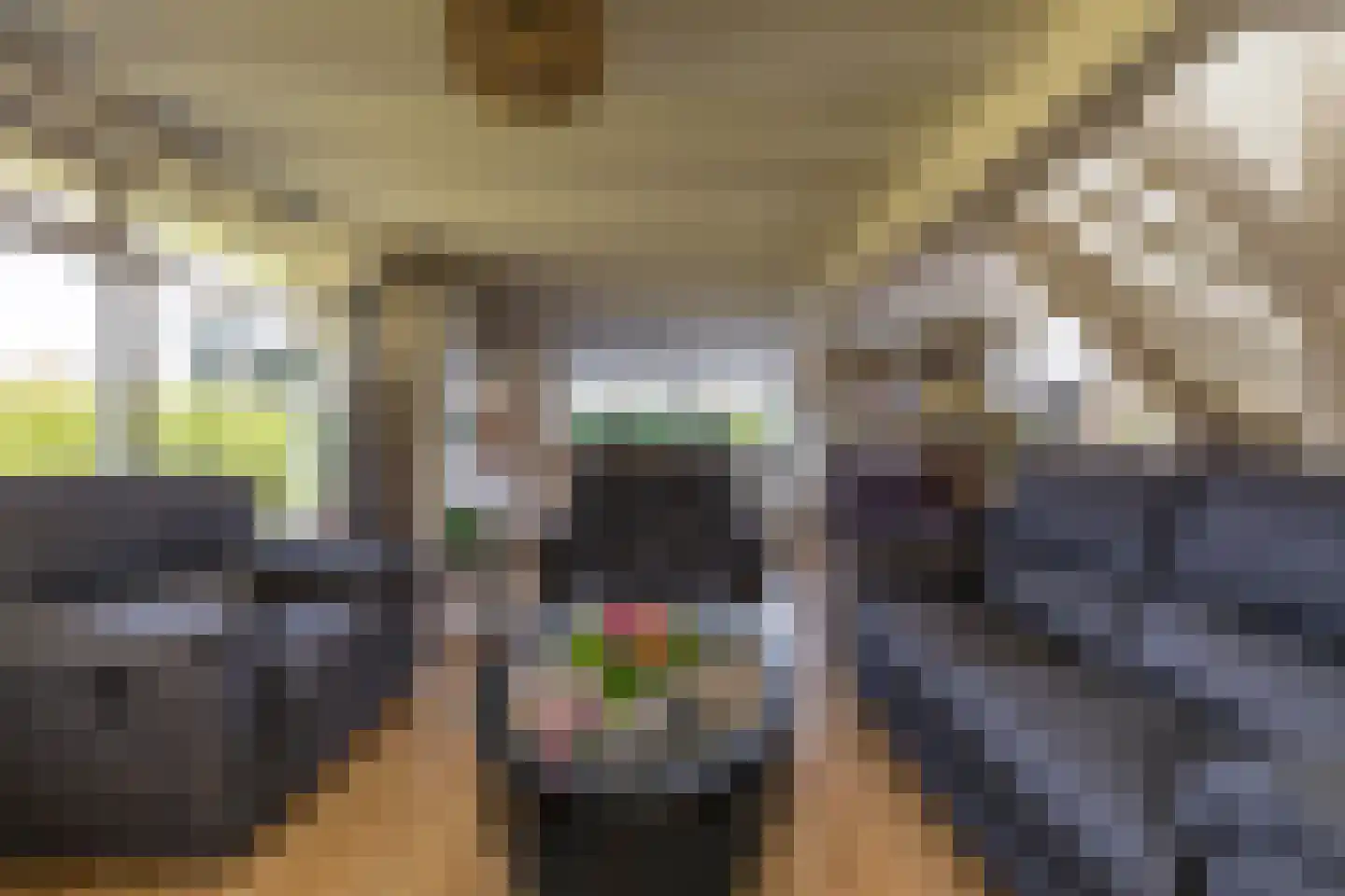 Houtvester Jansenweg 2 41 Gasselte thumbnail 17