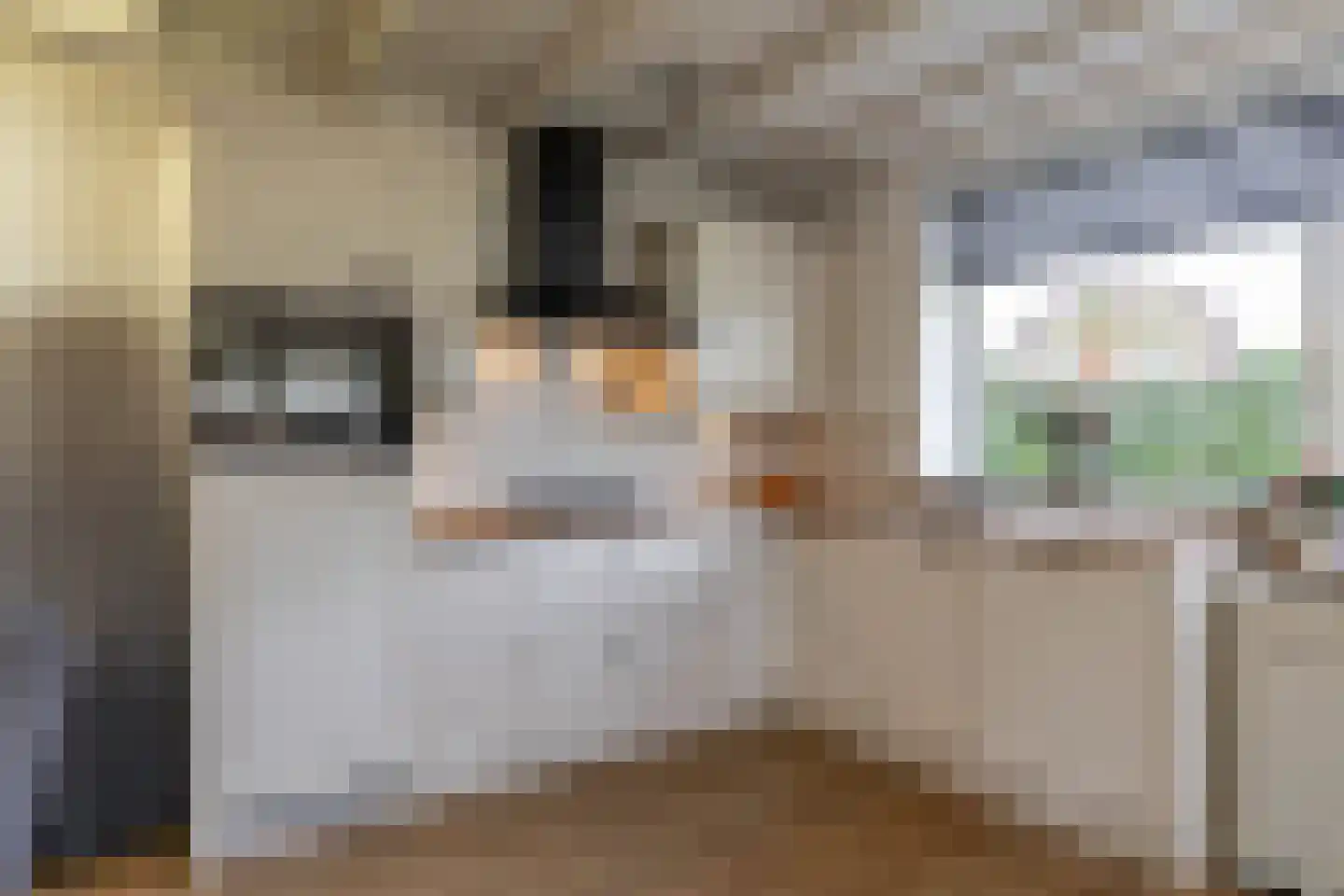 Houtvester Jansenweg 2 41 Gasselte thumbnail 19