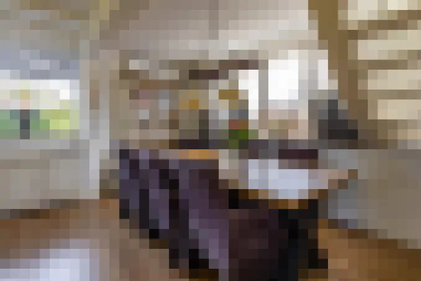Houtvester Jansenweg 2 41 Gasselte thumbnail 23