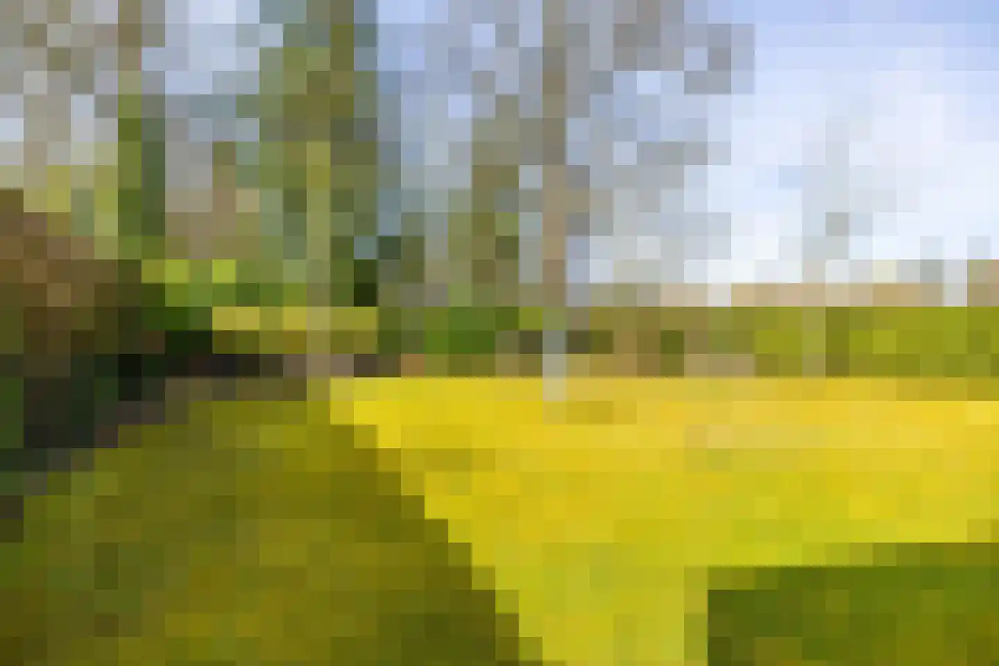 Houtvester Jansenweg 2 41 Gasselte thumbnail 37