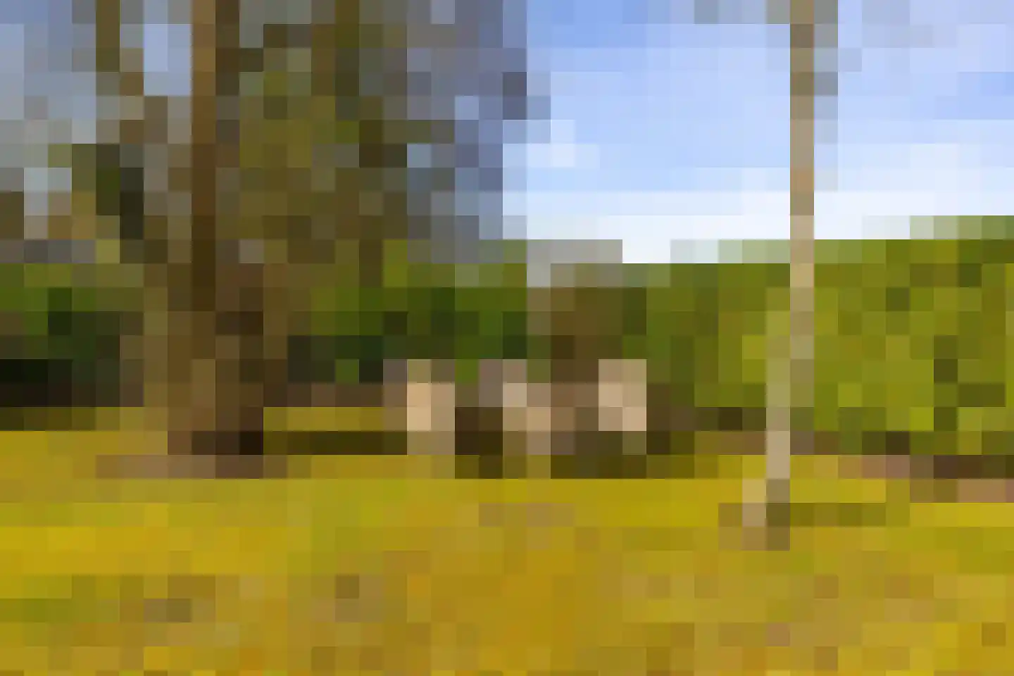 Houtvester Jansenweg 2 41 Gasselte thumbnail 38