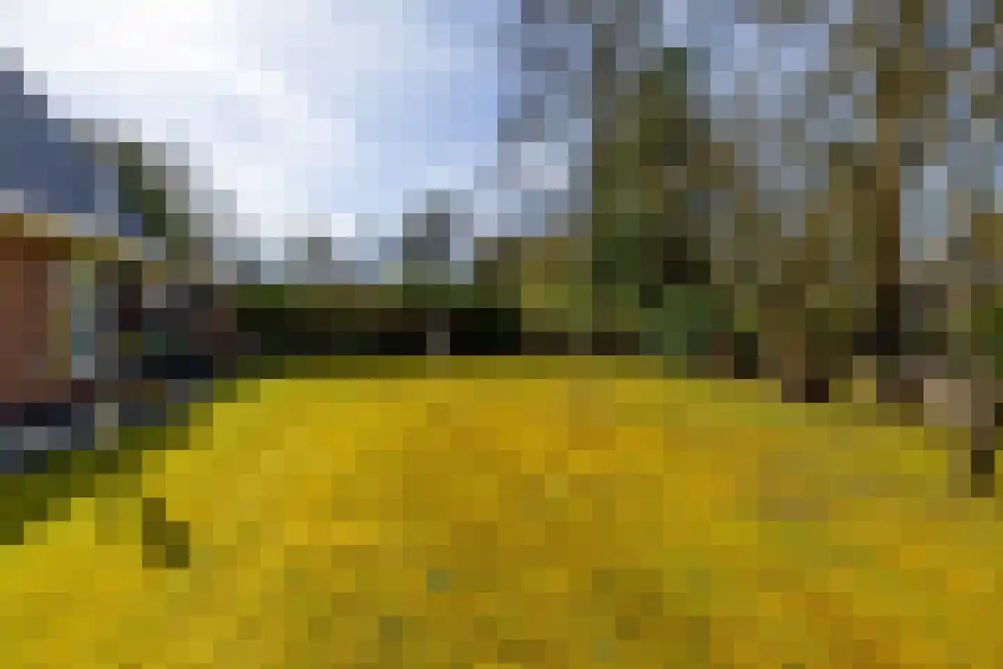 Houtvester Jansenweg 2 41 Gasselte thumbnail 39