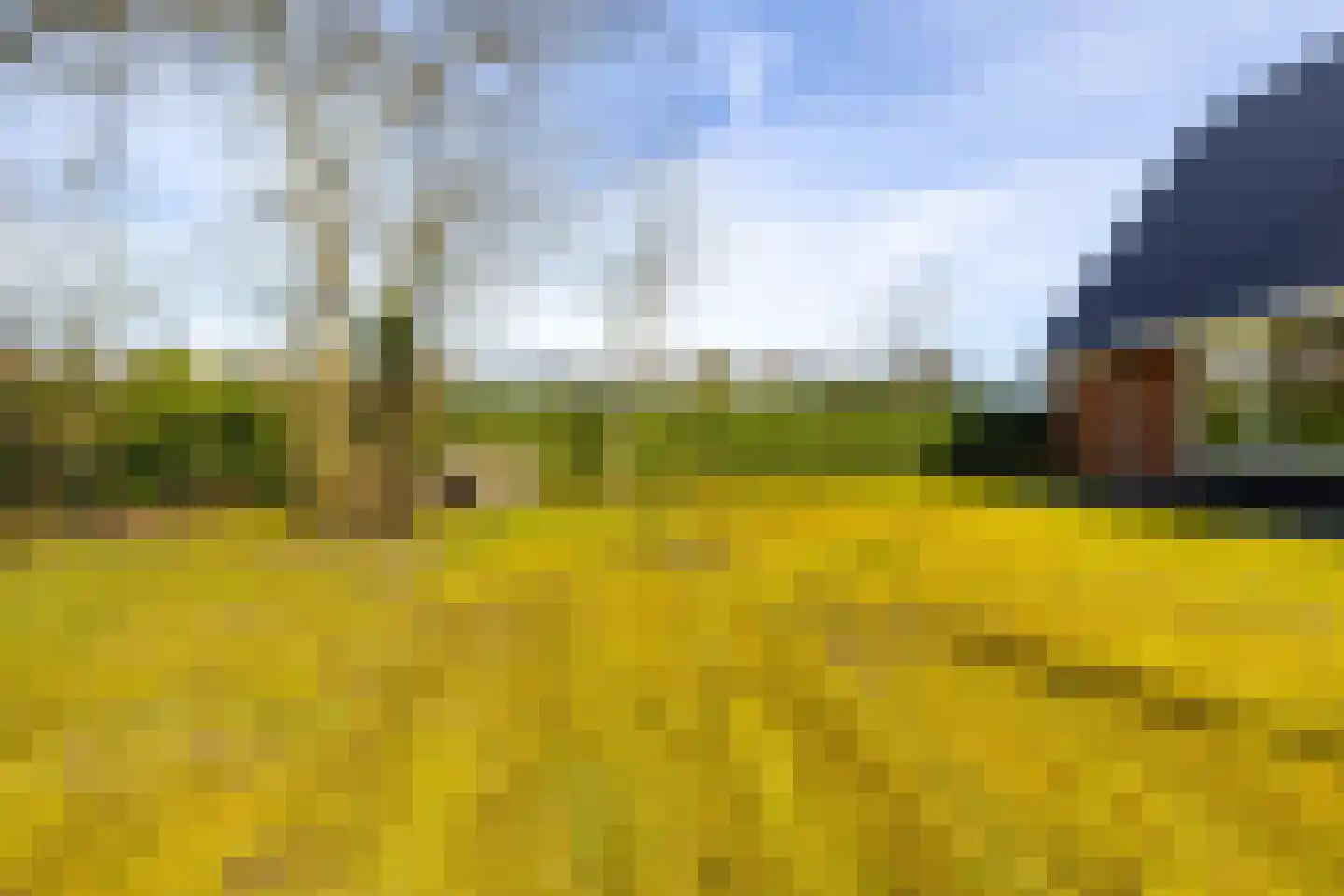 Houtvester Jansenweg 2 41 Gasselte thumbnail 40