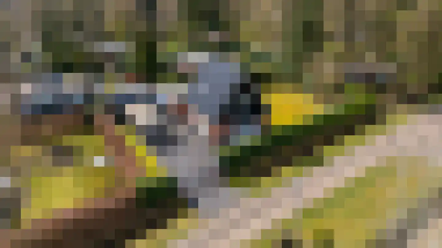 Houtvester Jansenweg 2 41 Gasselte thumbnail 42
