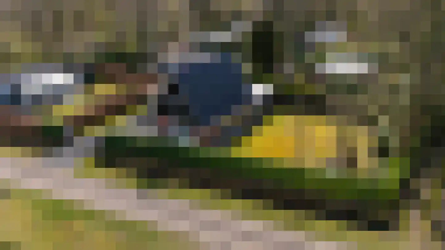Houtvester Jansenweg 2 41 Gasselte thumbnail 43