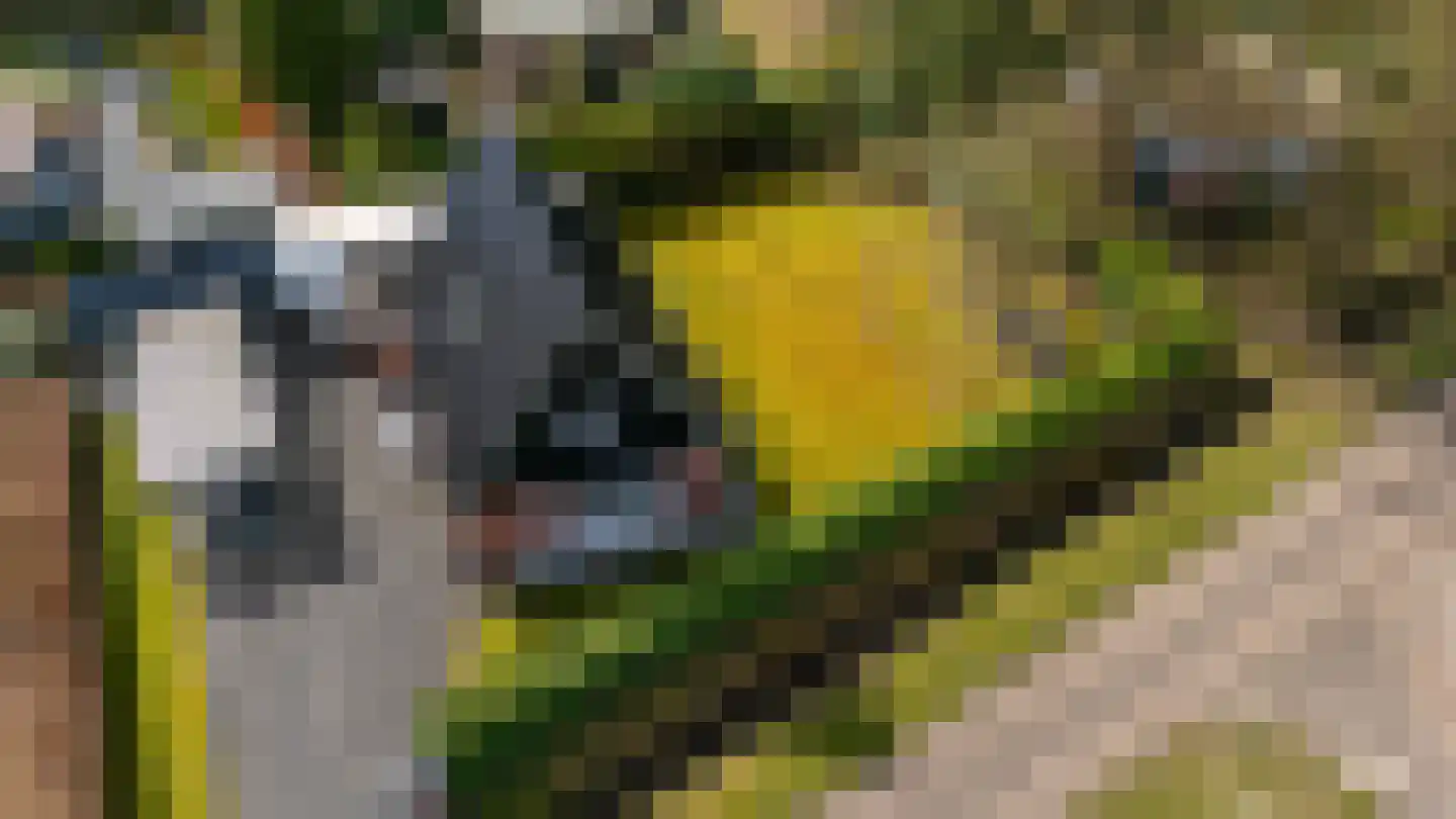 Houtvester Jansenweg 2 41 Gasselte thumbnail 47