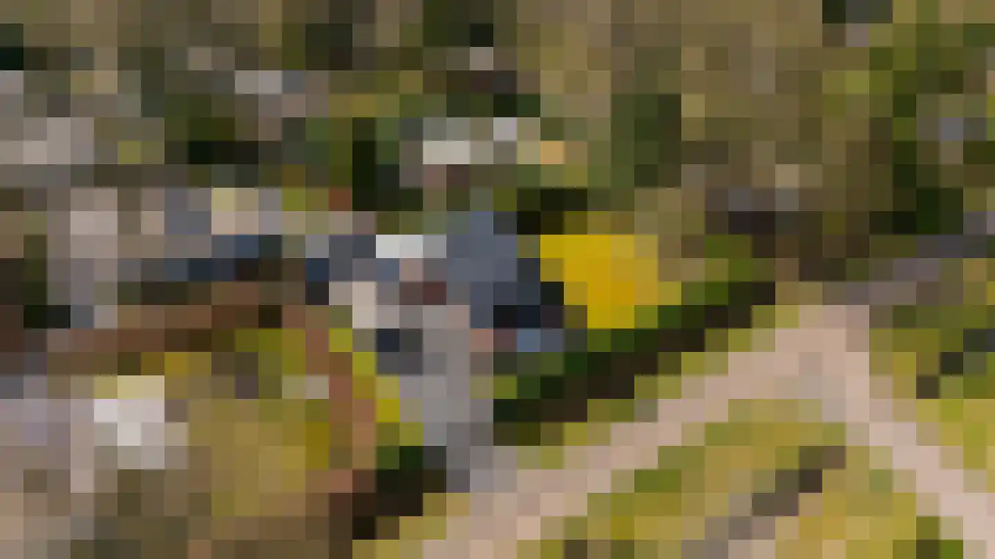 Houtvester Jansenweg 2 41 Gasselte thumbnail 48