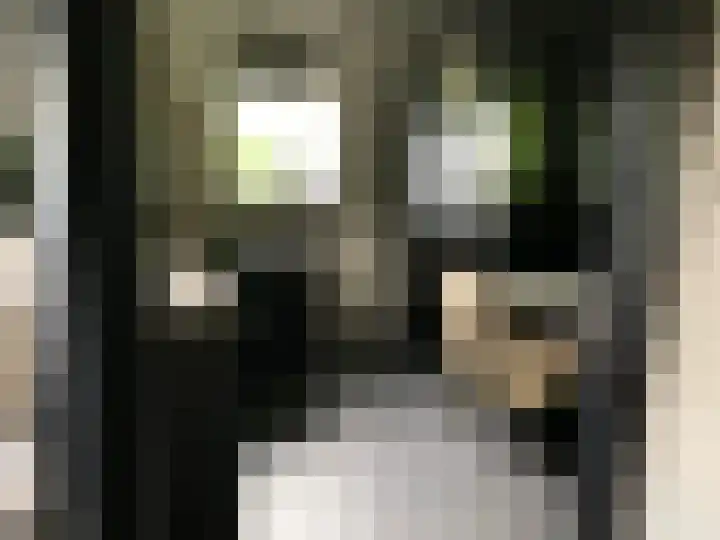 Houtvester Jansenweg 2 43 Gasselte thumbnail 16