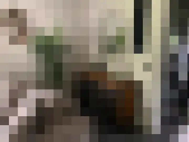 Houtvester Jansenweg 2 43 Gasselte thumbnail 19