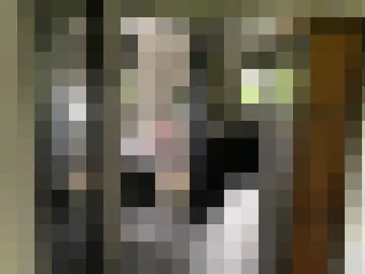 Houtvester Jansenweg 2 43 Gasselte thumbnail 20