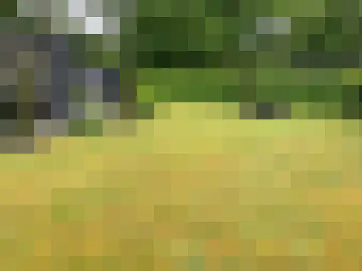Houtvester Jansenweg 2 43 Gasselte thumbnail 26