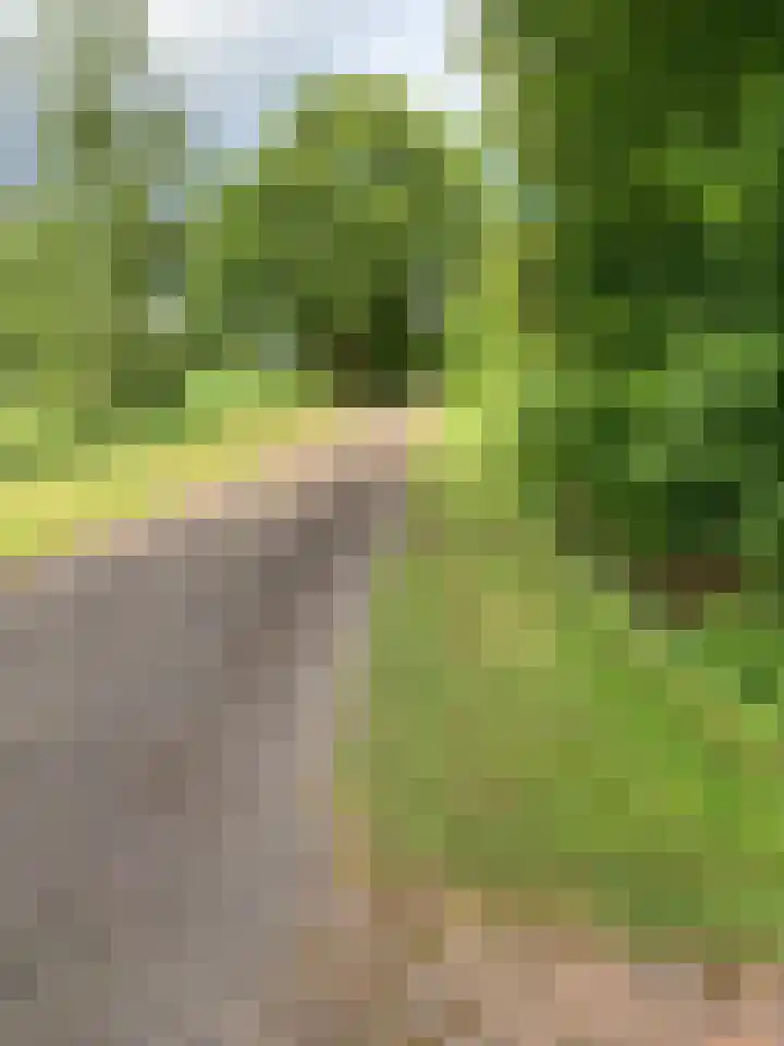 Houtvester Jansenweg 2 43 Gasselte thumbnail 4