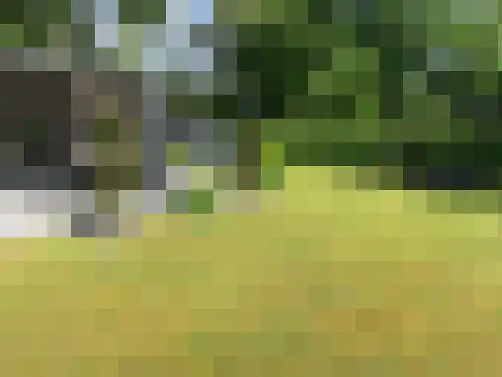 Houtvester Jansenweg 2 43 Gasselte thumbnail 6