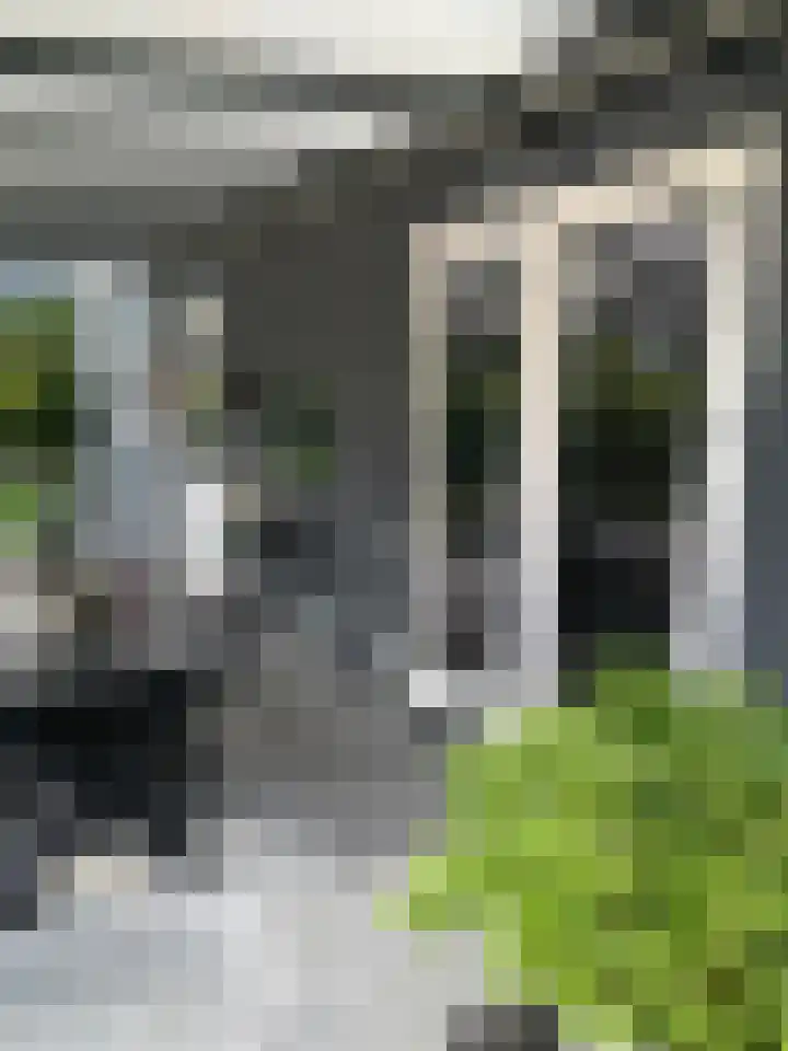 Houtvester Jansenweg 2 43 Gasselte thumbnail 7