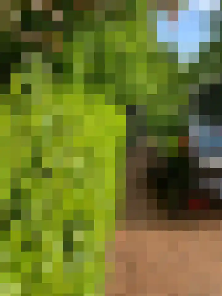 Houtvester Jansenweg 2 43 Gasselte thumbnail 9