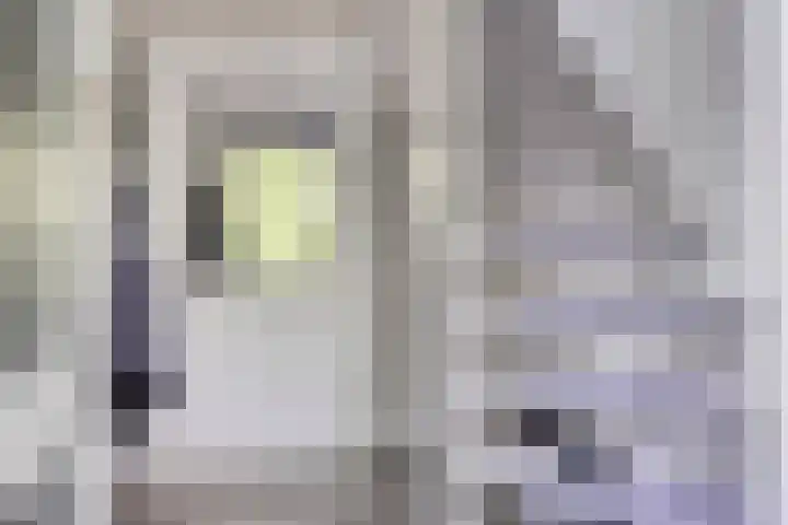 Houtvester Jansenweg 2 47 Gasselte thumbnail 10