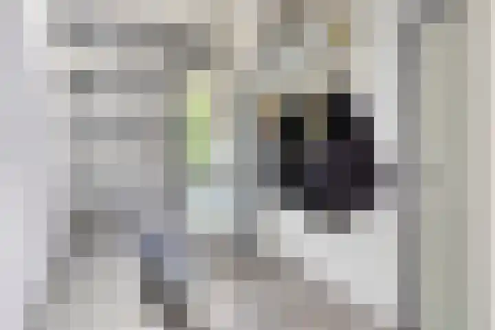 Houtvester Jansenweg 2 47 Gasselte thumbnail 11