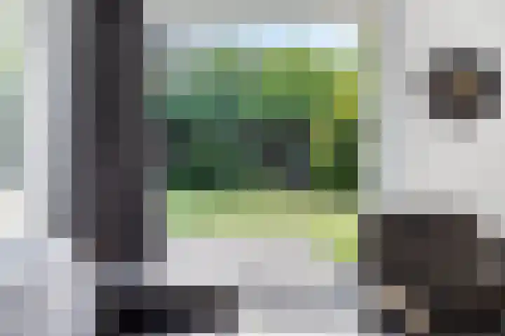 Houtvester Jansenweg 2 47 Gasselte thumbnail 15
