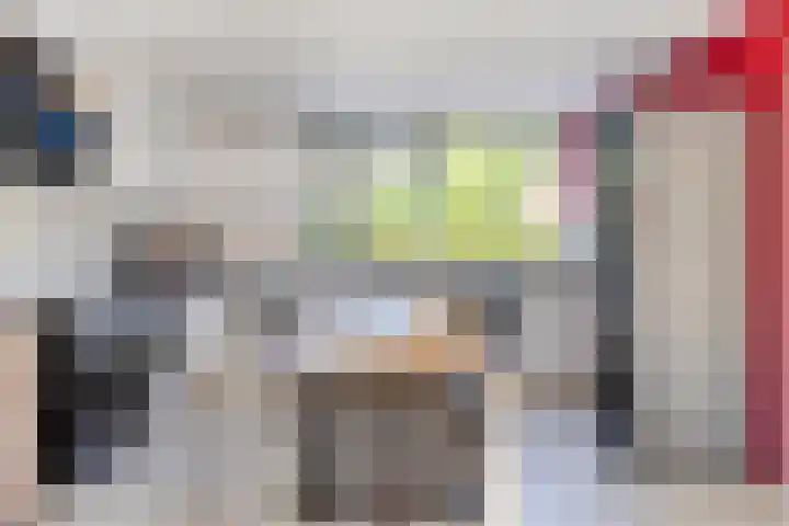 Houtvester Jansenweg 2 47 Gasselte thumbnail 16