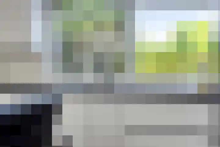 Houtvester Jansenweg 2 47 Gasselte thumbnail 18