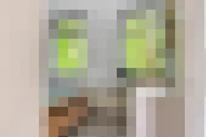 Houtvester Jansenweg 2 47 Gasselte thumbnail 19