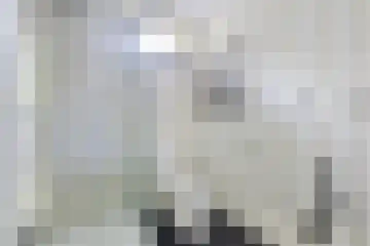 Houtvester Jansenweg 2 47 Gasselte thumbnail 21
