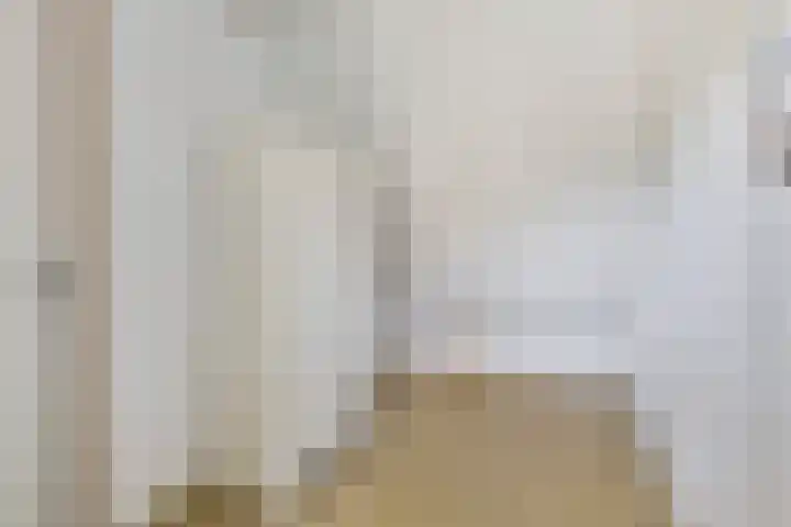 Houtvester Jansenweg 2 47 Gasselte thumbnail 22