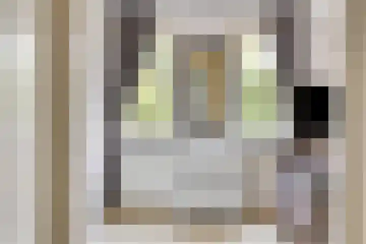 Houtvester Jansenweg 2 47 Gasselte thumbnail 24