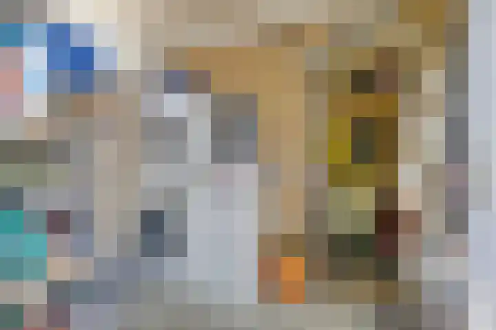 Houtvester Jansenweg 2 47 Gasselte thumbnail 29