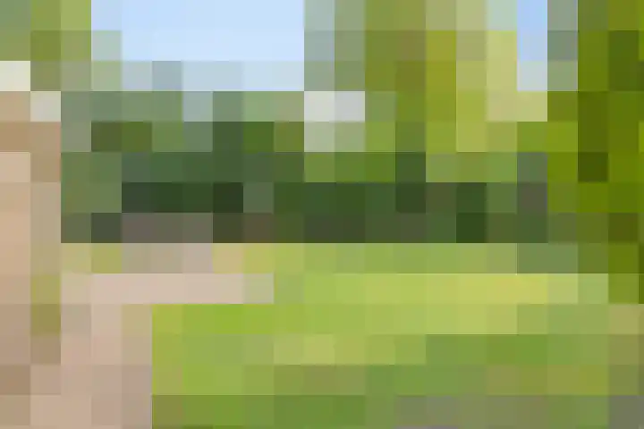 Houtvester Jansenweg 2 47 Gasselte thumbnail 30