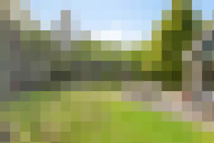 Houtvester Jansenweg 2 47 Gasselte thumbnail 32