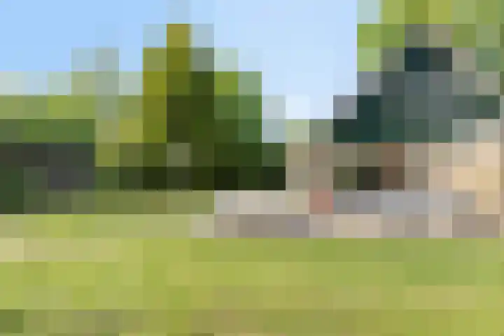 Houtvester Jansenweg 2 47 Gasselte thumbnail 33